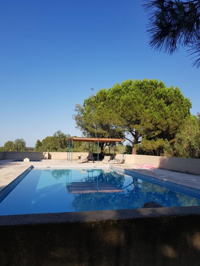 Vacances En Camargue Proche De La Mer Climatise Aigues-Mortes Luaran gambar