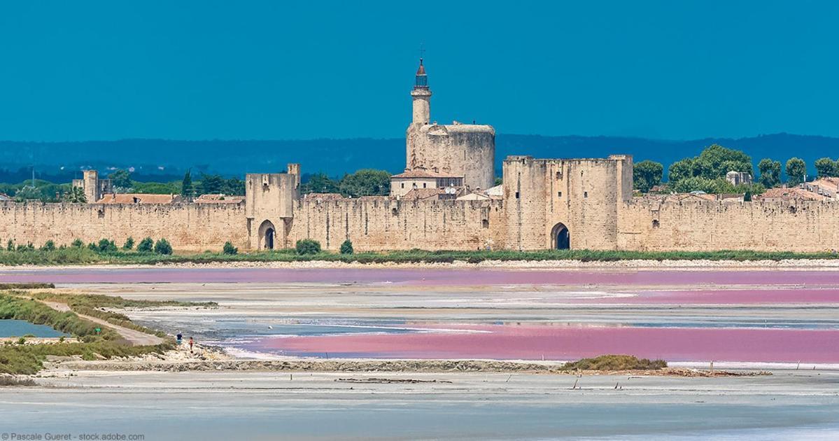 Vacances En Camargue Proche De La Mer Climatise Aigues-Mortes Luaran gambar