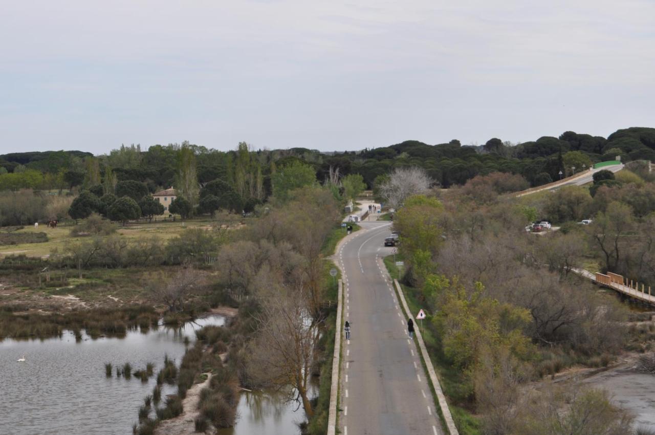 Vacances En Camargue Proche De La Mer Climatise Aigues-Mortes Luaran gambar