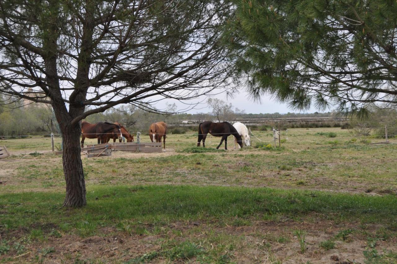 Vacances En Camargue Proche De La Mer Climatise Aigues-Mortes Luaran gambar